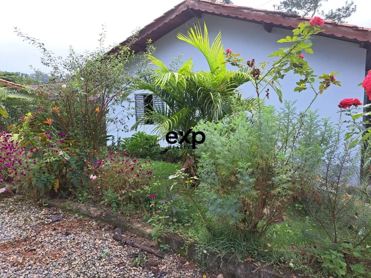 Sítio - Mombuca - Itatiba/SP. - Foto 2