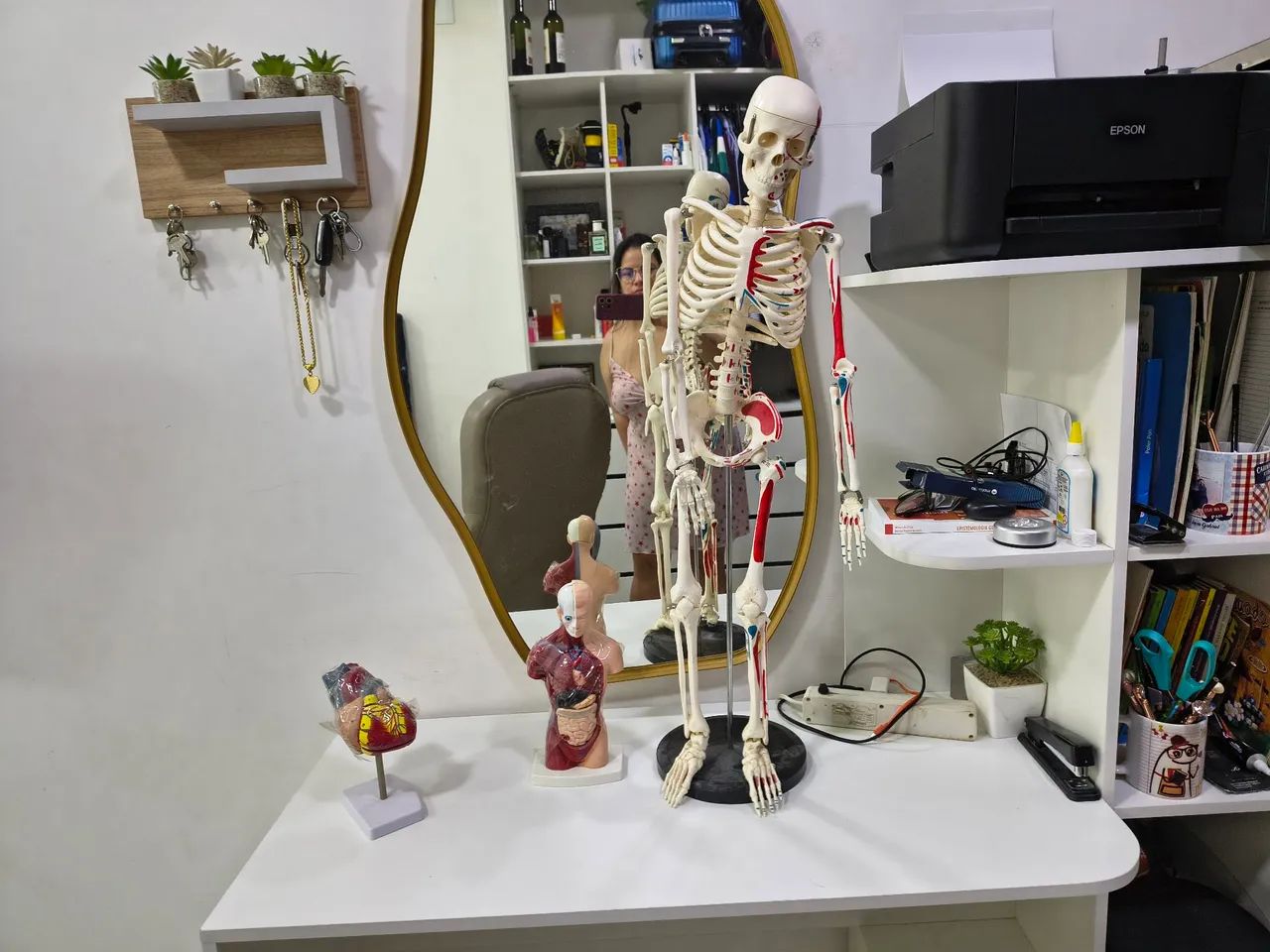 Vende-se todas essas peças anatômicas para estudos. - Foto 4