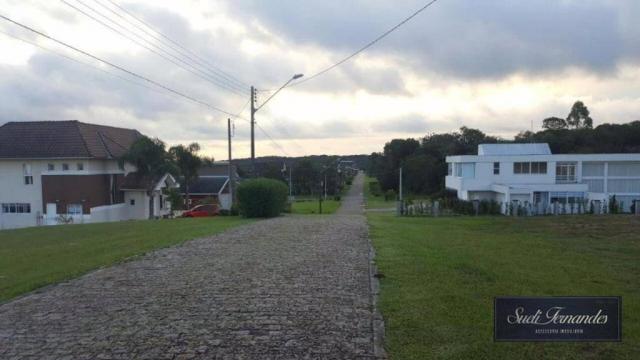 Terreno à venda, Campo Largo da Roseira, São José dos Pinhais. - Foto 2