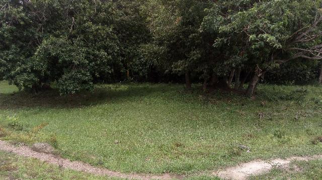 Fazenda 10 km da cidade Cuiaba - pedra 90 - Foto 15