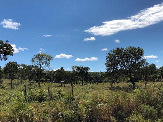 Chácara Km 8,5 depois de lajeado - Lajeado - TO - Foto 3