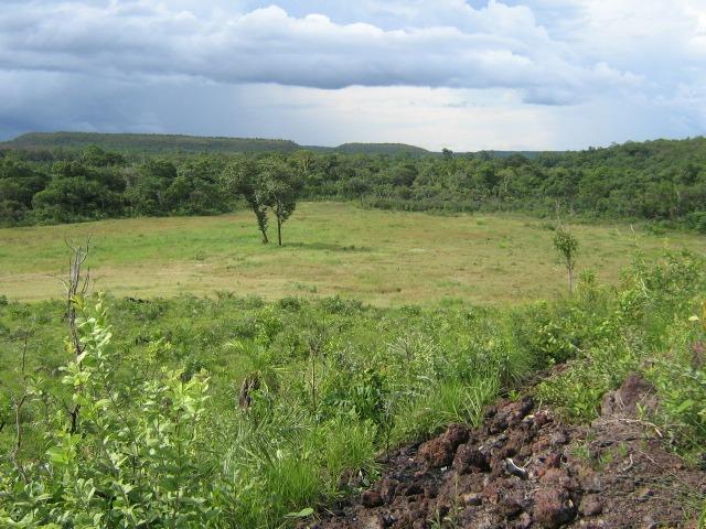 Almas-TO - Fazenda distante de Palmas 210 Km - Foto 8