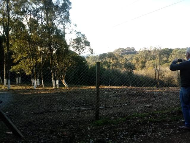 Excelente area para chacrinha com 4.675m² ( 85:00x 55:00 m) - Foto 10