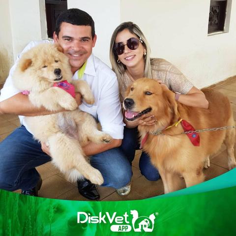 Veterinário em Domicílio - Foto 2