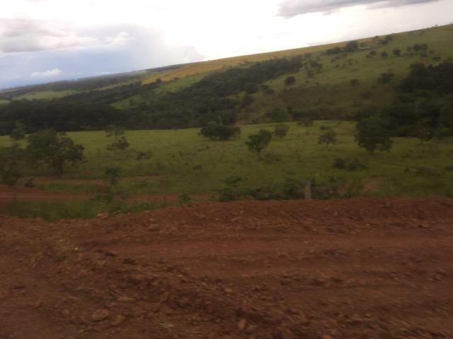 4 Alqueires c/ Rio p/ Lotear, Haras, Lazer, Gado. 40 km Anápolis-GO - Foto 11