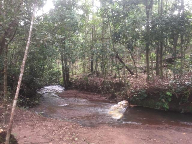 4 Alqueires c/ Rio p/ Lotear, Haras, Lazer, Gado. 40 km Anápolis-GO - Foto 16