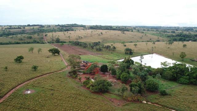 Fazenda plana e rica em água, 24 Alqueires (116.16 ha ) Bela Vista de Goias