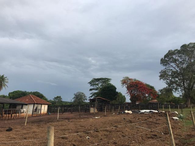 Fazenda plana e rica em água, 24 Alqueires (116.16 ha ) Bela Vista de Goias - Foto 12