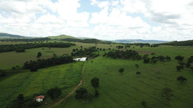 Oportunidade Extra Fazenda 100 Alqueires ou 484 Hectares Aragoiânia - Foto 7