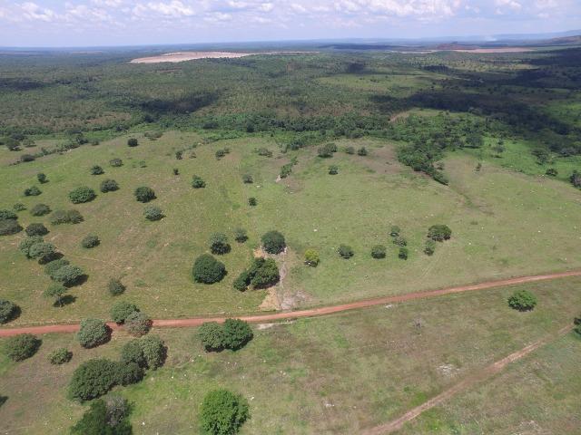 Fazenda de 216 alqueires 1.045,44 hectares- Miracema do Tocantins-TO - Foto 17