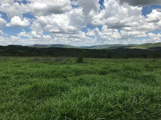 Oportunidade Extra Fazenda 100 Alqueires ou 484 Hectares Aragoiânia - Foto 6