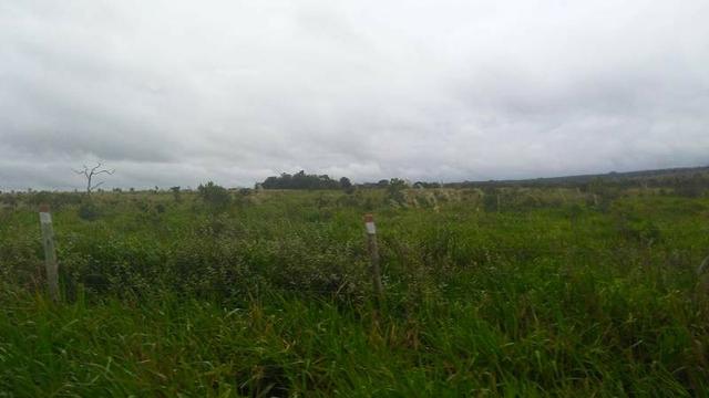 300 Alqs 200 Em Pasto Excelente Fazenda Paraúna GO - Foto 5