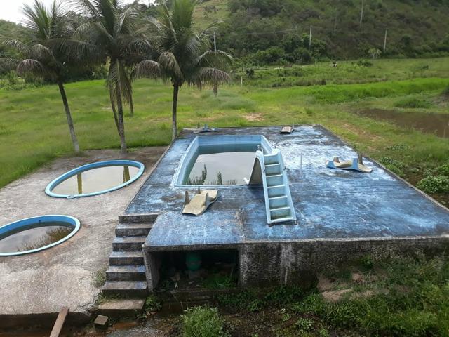 Lindo sítio em Mauá ( Guia de Pacobaíba) oportunidade!!! - Foto 9