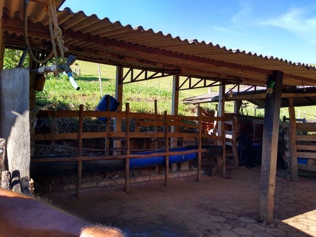 Vendo Sitio em Pouso Alto - MG - Foto 10