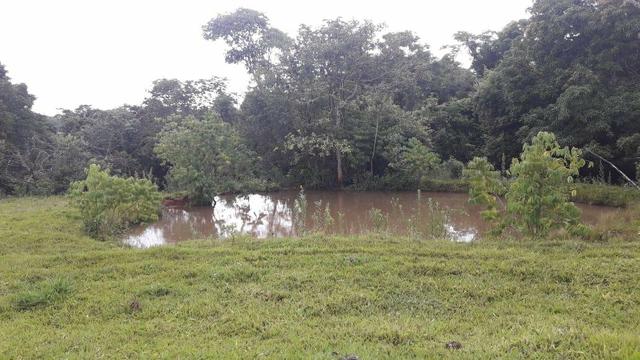A fazenda do seu sonhos - Foto 4