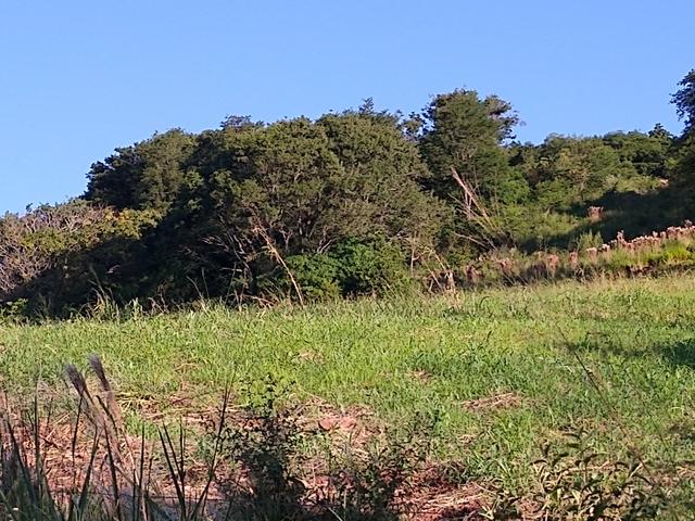 Chácara Lindoeste perto Br 163 e centro - Foto 3