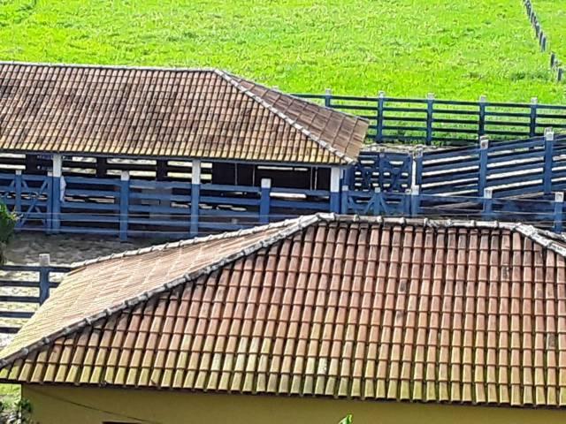 Fazenda 180 alqueires Linhares - Foto 7
