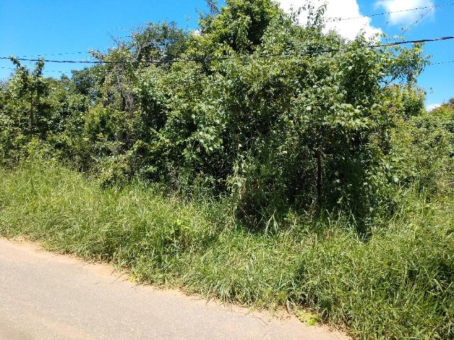 Lote De 1000 Metros no Lagoa Mansões, Bairro Nobre, Vizinhança Ótima, Financio - MVT - Foto 3