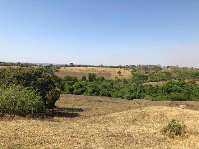 Fazenda a venda em Piracanjuba de 20 alqueires para Pecuária e lavoura - Foto 11