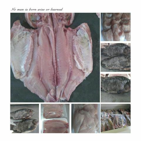 Peixe promoção - Foto 2