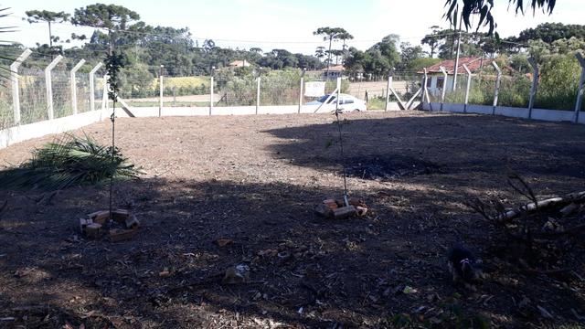 Terreno Major Vieira S C - Foto 3