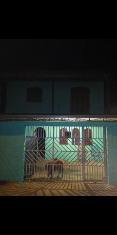 Aluga Sobrado - Foto 2
