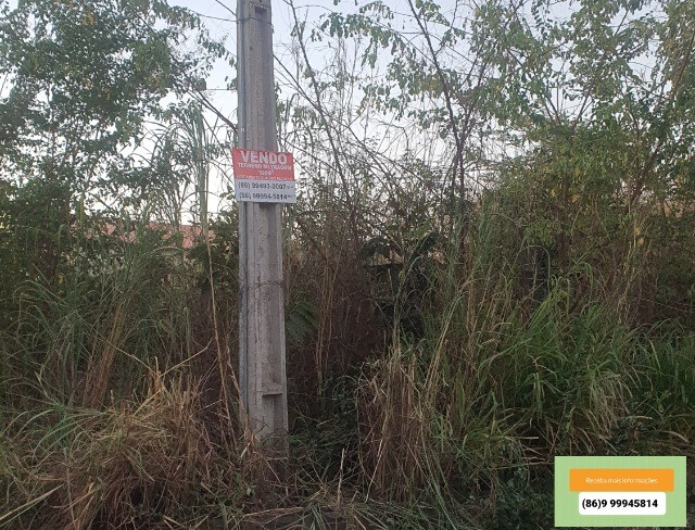 Vendo um lote Terreno de Esquina na zona leste