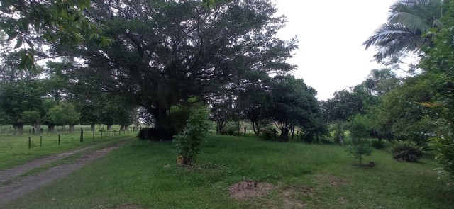 Chácara ou indústria 300 metros asfalto, taquara RS S  - Foto 3