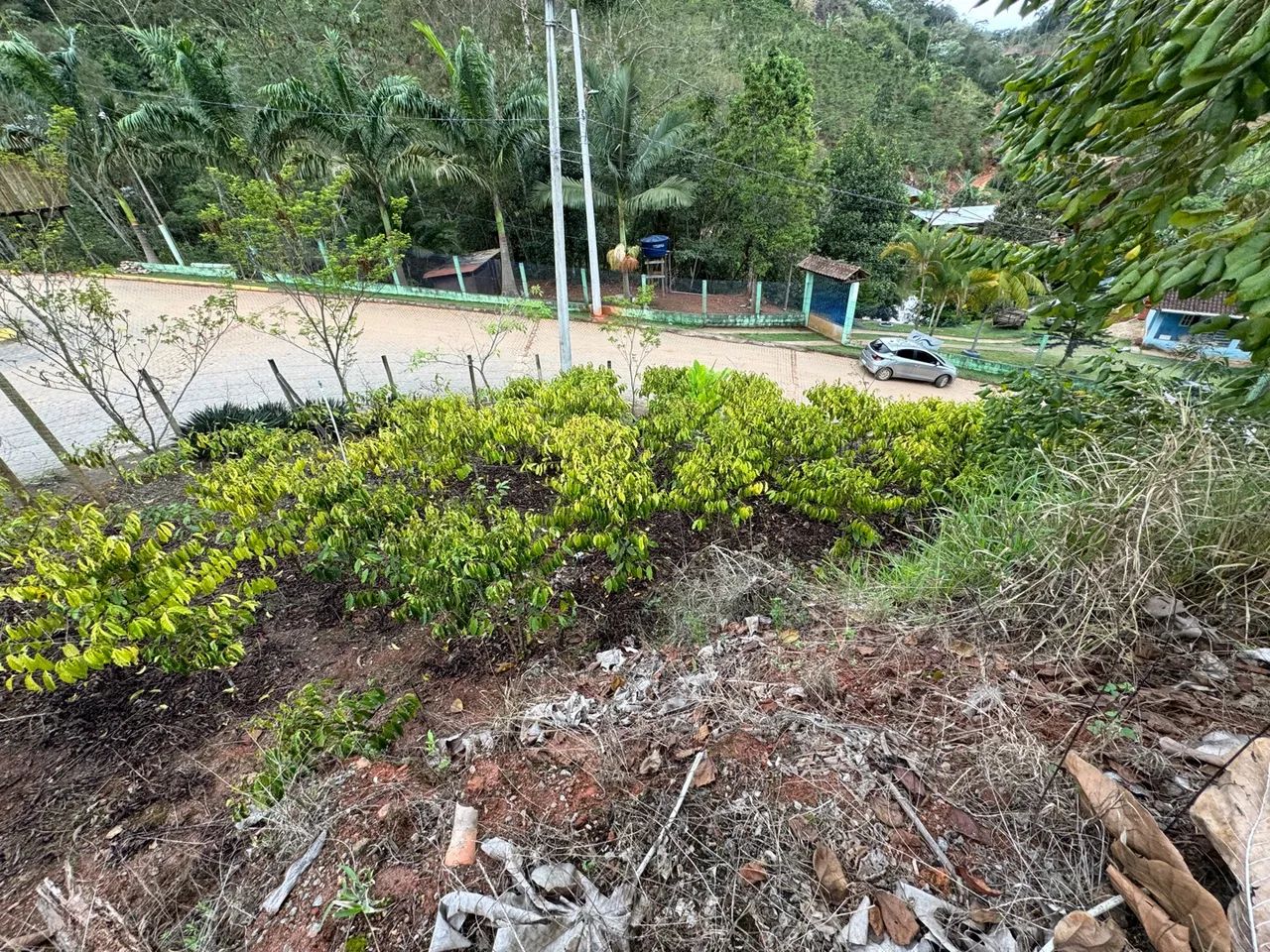Terreno em Santa Teresa - Foto 5