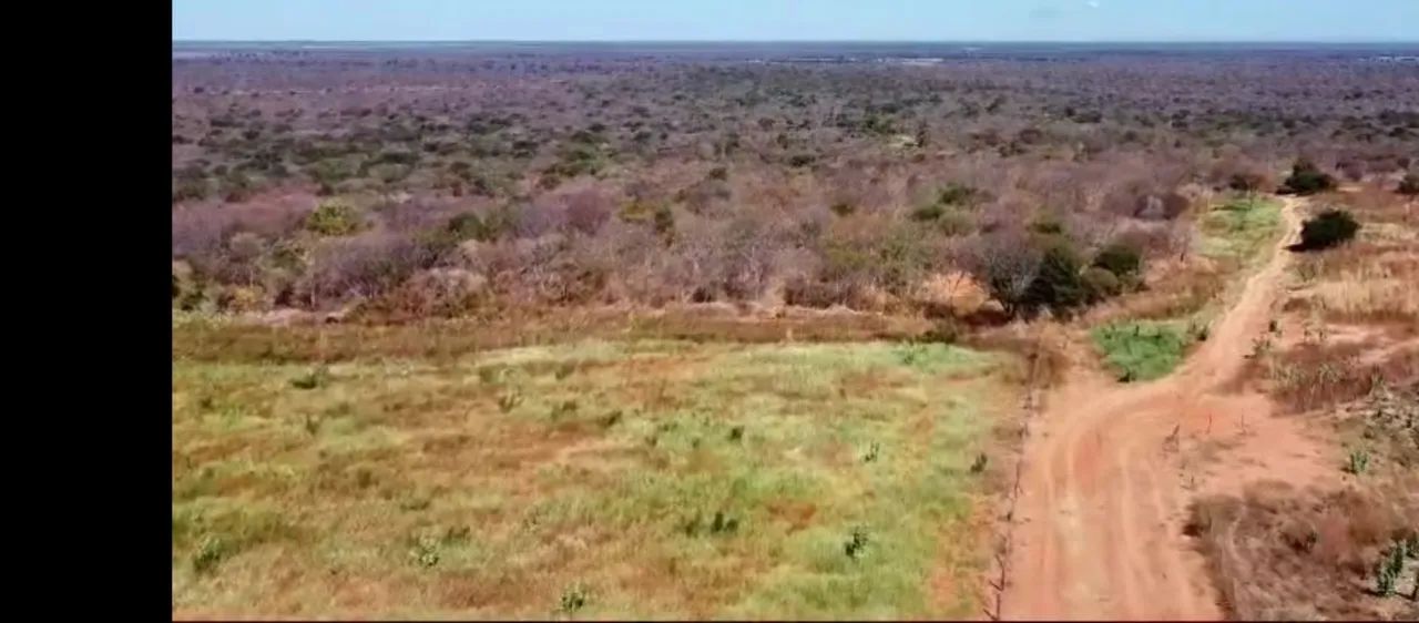 FAZENDA 1485 HECTARES PECUÁRIA E PLANTIO DE FRUTAS... ACEITA VEÍCULO E IMOVEIS!!! - Foto 2