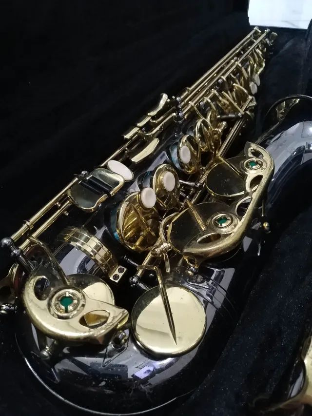 Saxofone alto ônix com chaves douradas, SA 500 BG