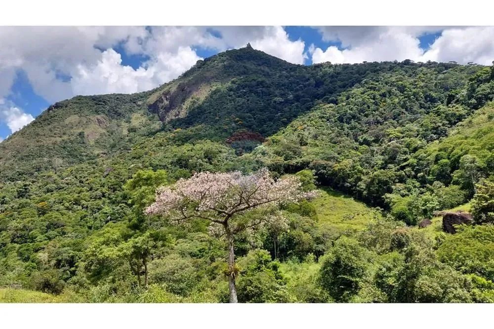 Fazenda Peito do Pombo à venda no Sana, RJ - Foto 3