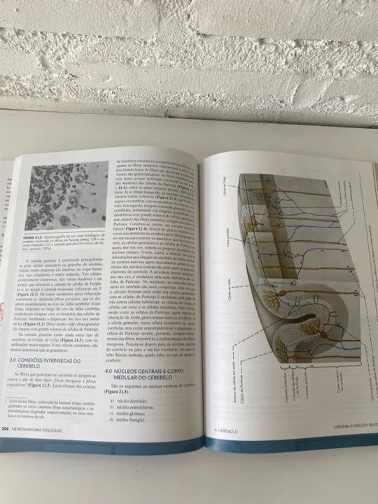 C027 Livro Neuroanatomia Angelo Machado 3ª edição com todas as páginas excelente - Foto 6