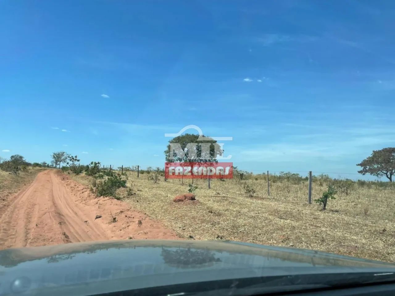 Arrendamento para Lavoura Torixoréu-MT / 1.700 hectares (plantio de soja) - Foto 5