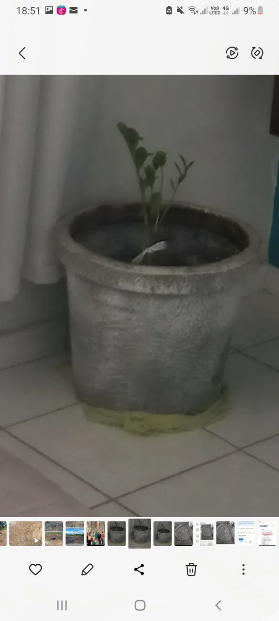 Vaso de planta com terra preta