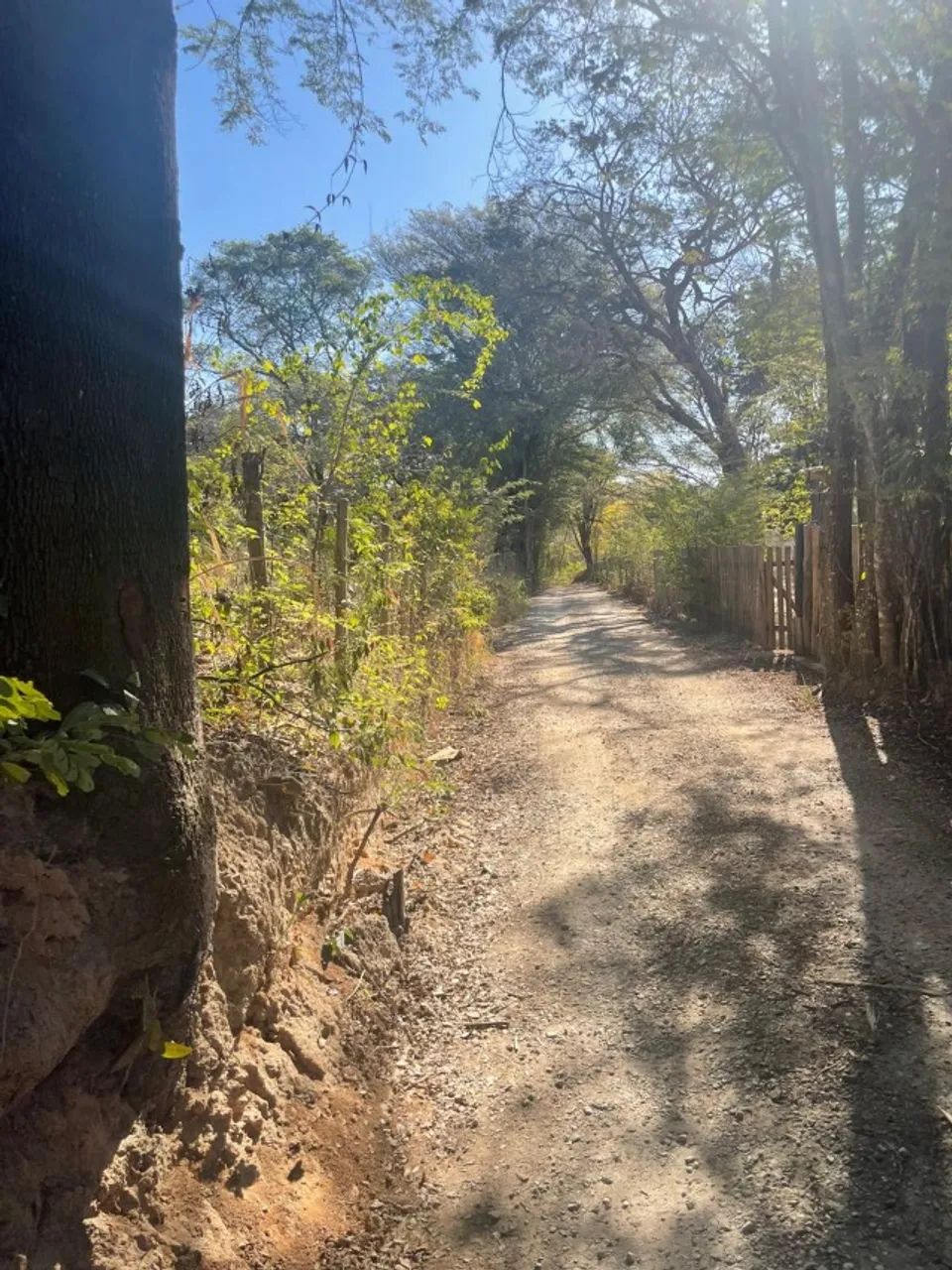 Caio Martins - Lote de 1360m² - Foto 4