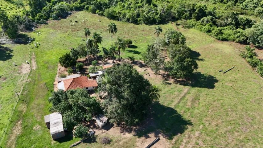 Chácara 32 hectares em Jaraguari com córrego! - Foto 4