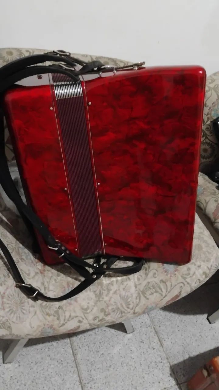 Sanfona Acordeon Michael 120 Baixos - Foto 4
