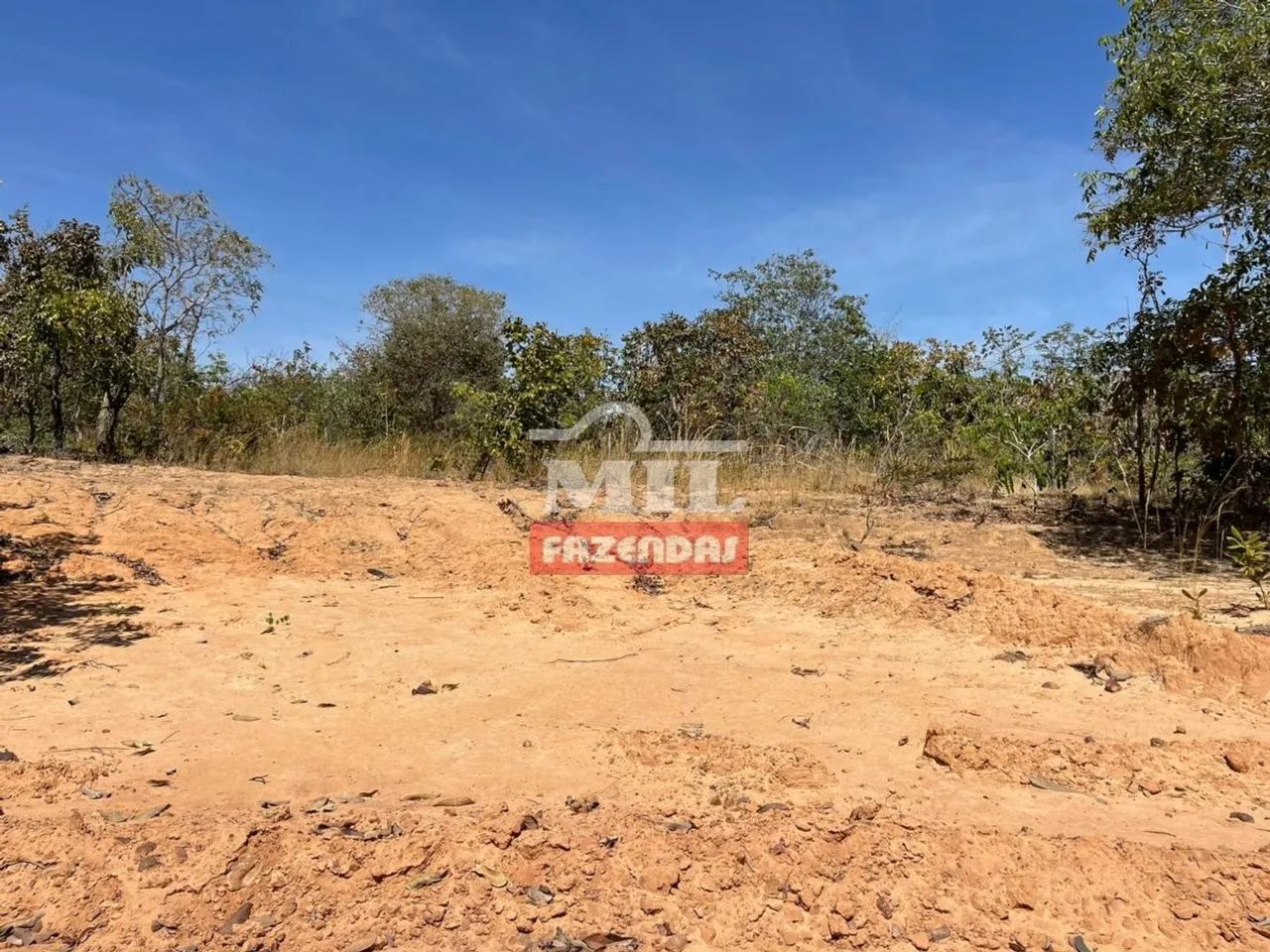 Arrendamento para Lavoura Torixoréu-MT / 1.700 hectares (plantio de soja)