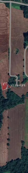 Sítio à venda em Cambira, km 04, com 1 quarto, com 121000 m² - Foto 4