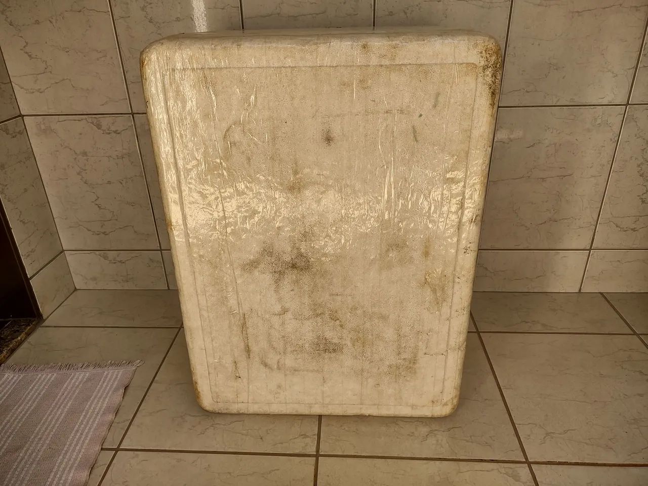 Caixa Térmica de Isopor para Camping - Foto 2