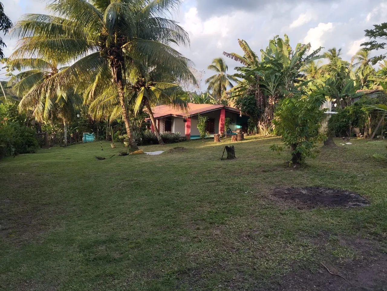 Limpeza de sítios e terrenos - Foto 4