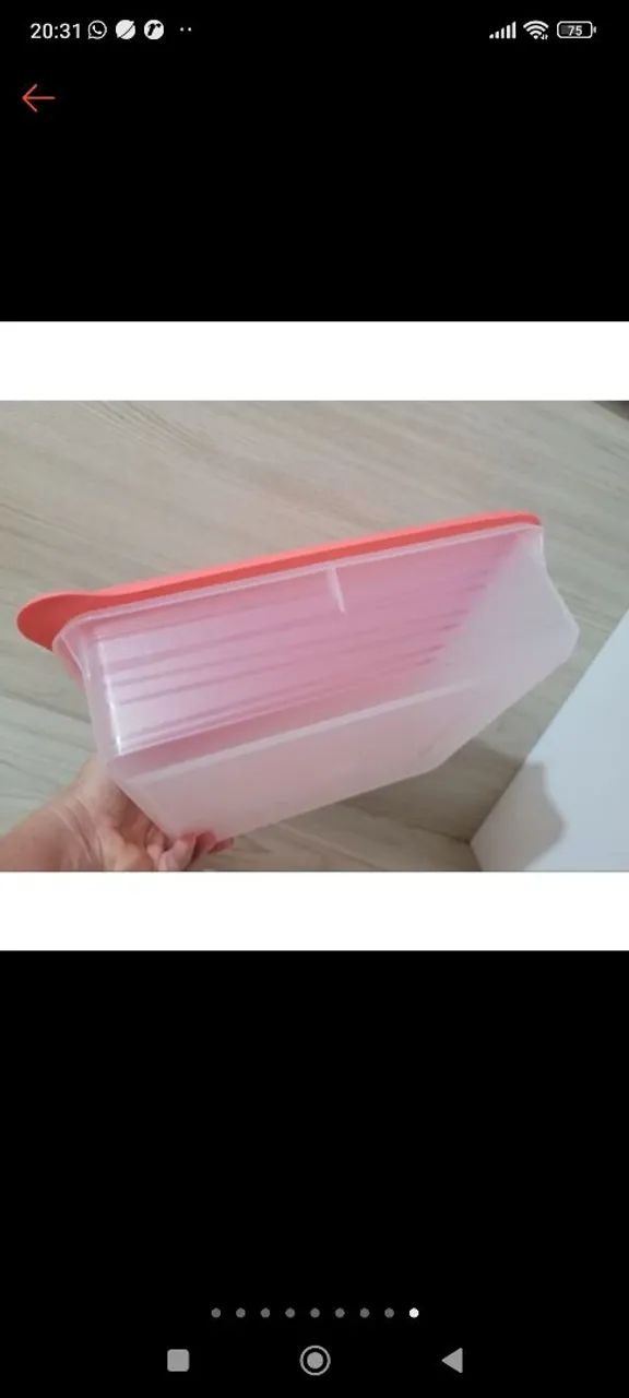 Conjunto de 2 potes para congelar alimentos - Foto 5