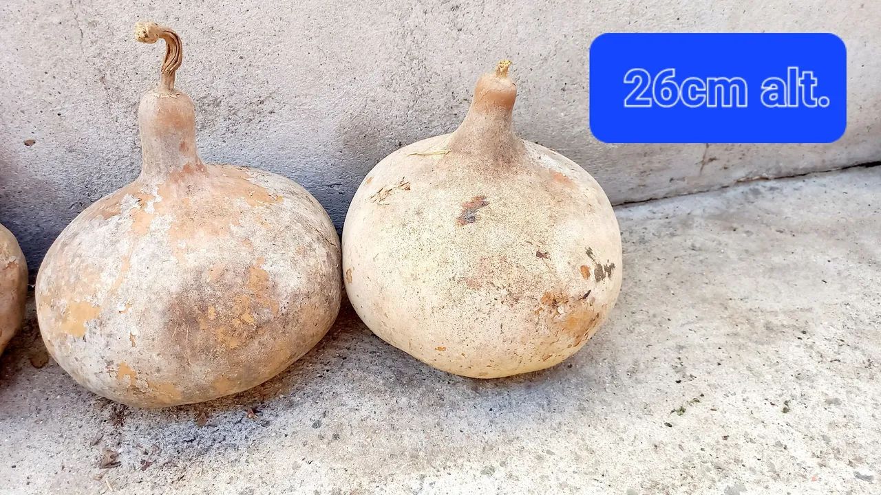 Disponível para venda  - Foto 2