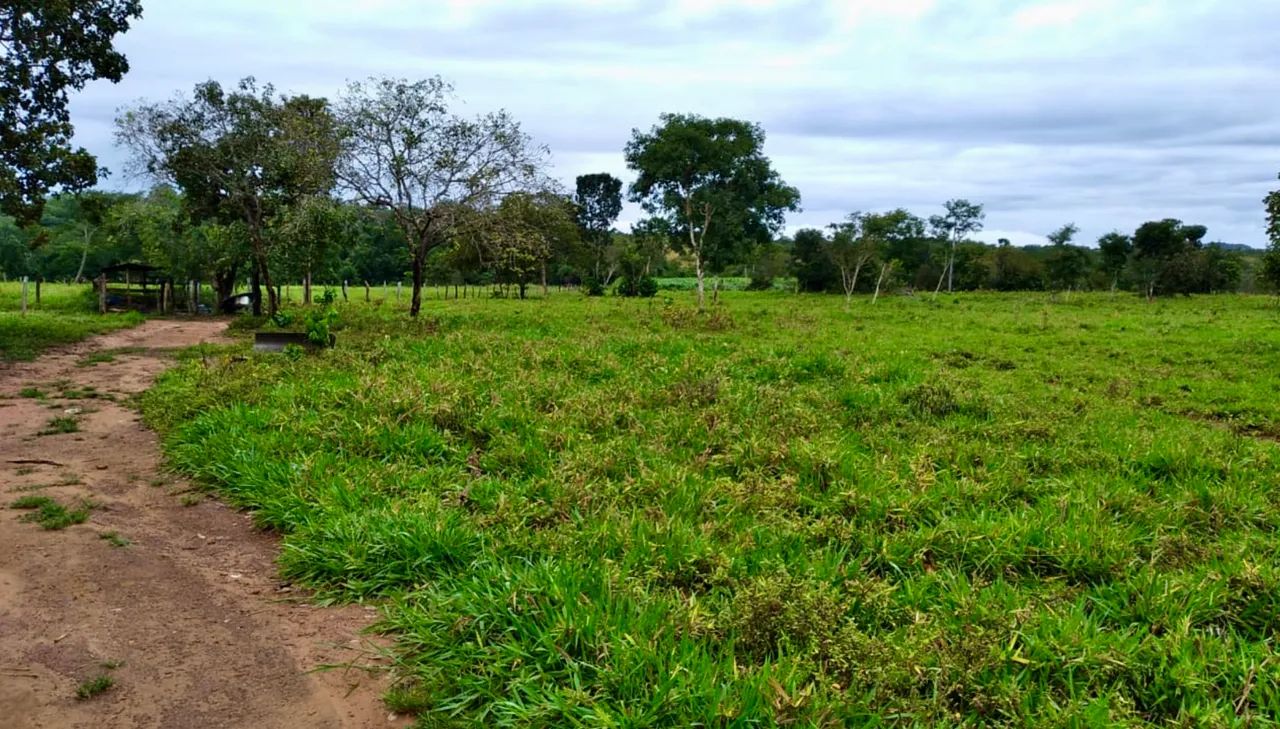 Chácara/Fazenda de 37 hectares - Porto Nacional - TO - Permuta casa em Palmas-TO - Foto 3