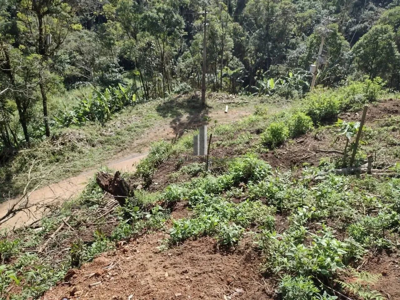 Sítio para Venda em Centro Tapiraí-SP - Foto 3