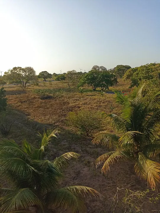 Paraíso rural