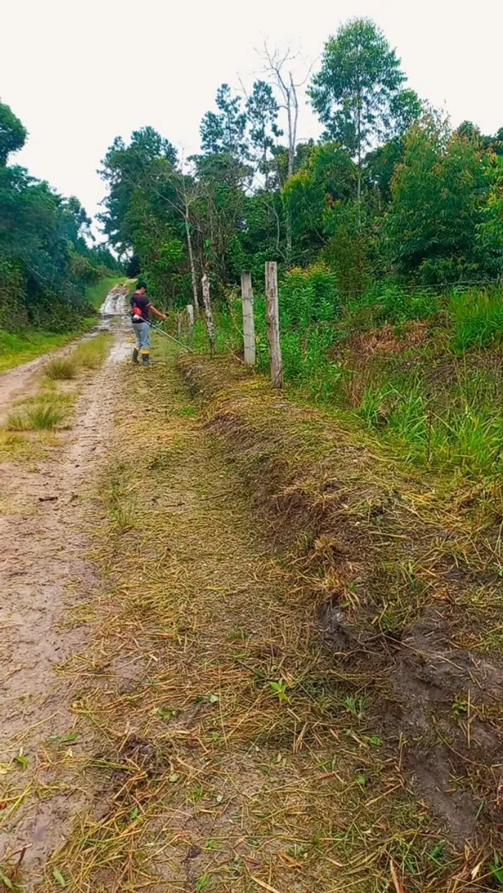 Lindo terreno pra chacara dos teus sonhos.