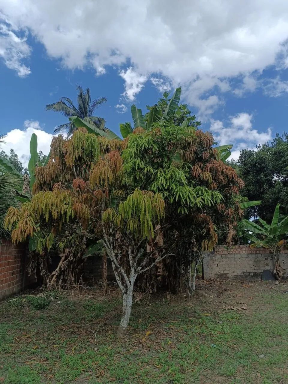 VENDE-SE TERRENO - Foto 3