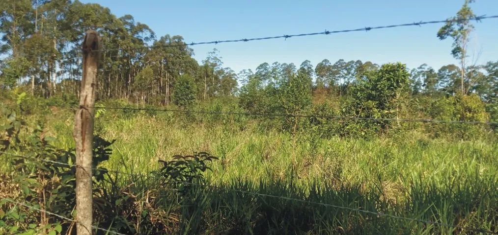 Terreno com 20.000 m² em Desterro de Entre Rios  - Foto 3